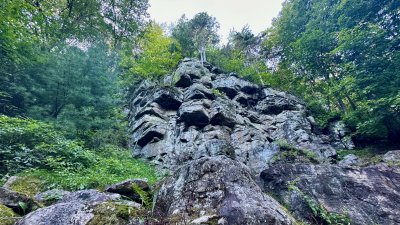 Parc récréoforestier