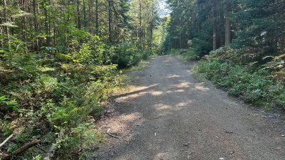 Parc récréoforestier